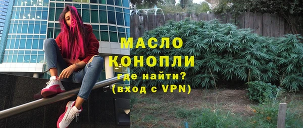 амф Дмитров