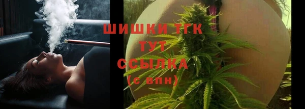 молекула духа Дмитровск