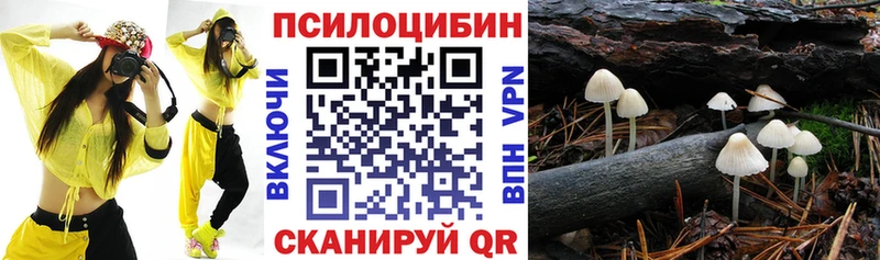 Галлюциногенные грибы прущие грибы  Купить закладки  Жуков 